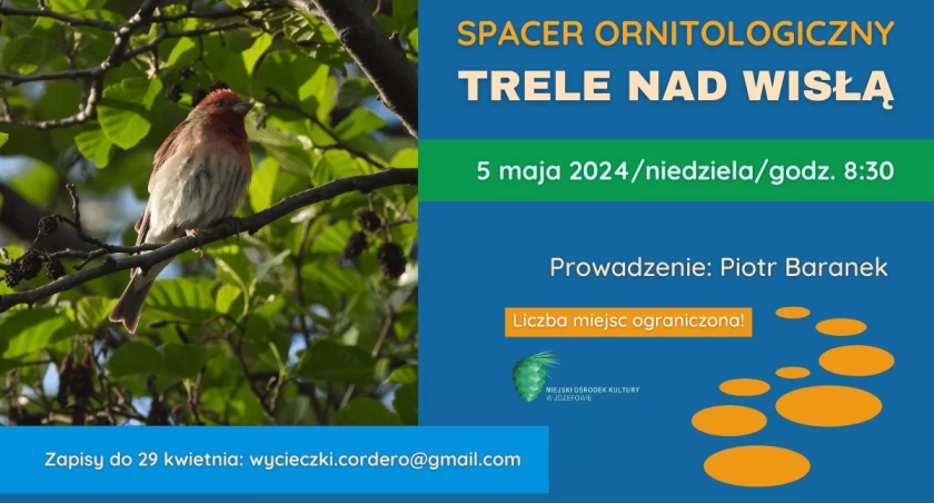 Trele nad Wisłą - spacer ornitologiczny