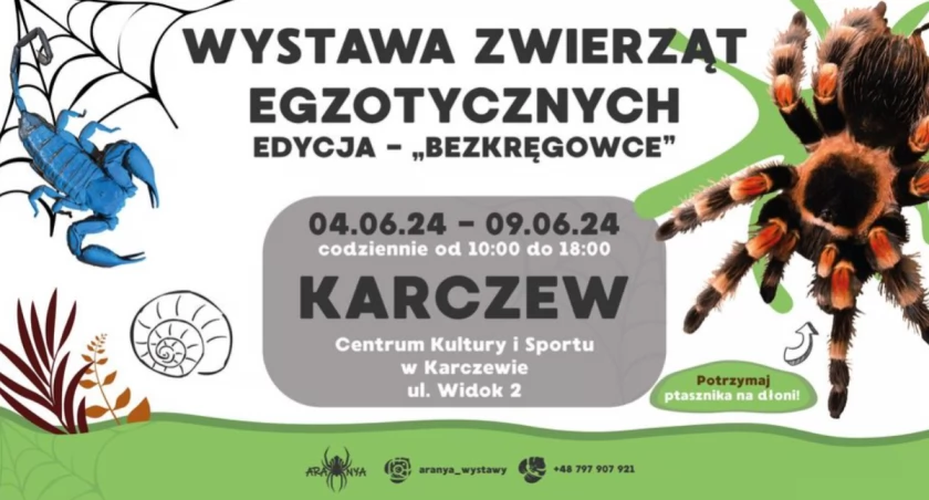 Wystawa zwierząt egzotycznych w Karczewie