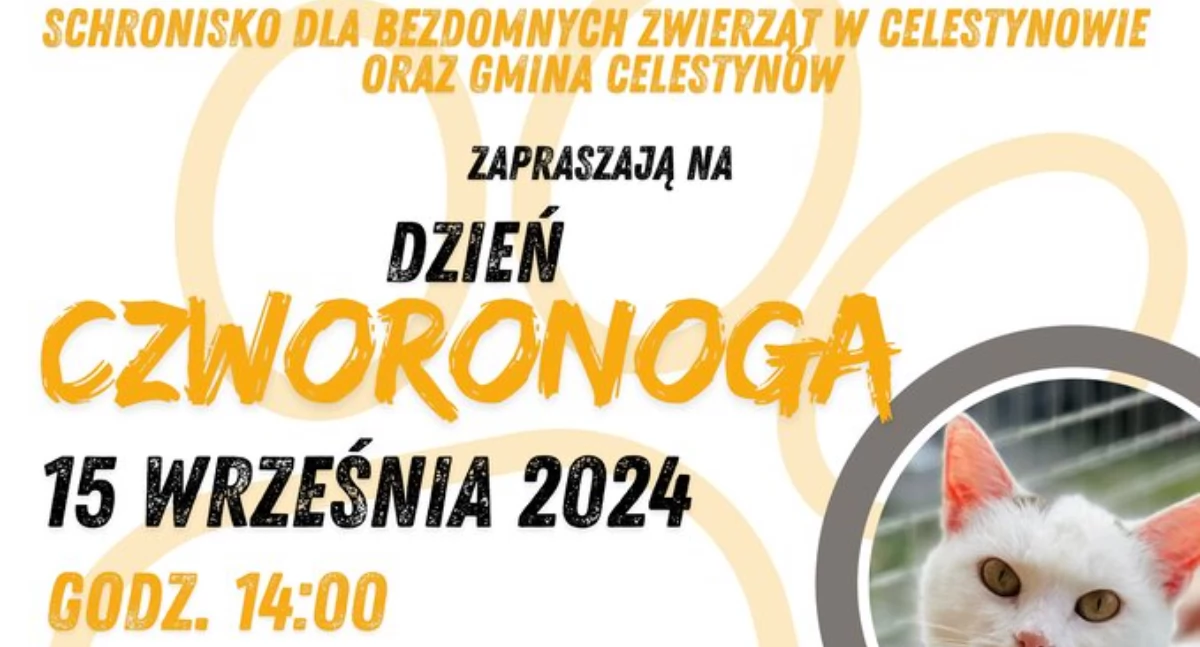 Dzień Czworonoga w Celestynowie – mnóstwo atrakcji dla całej rodziny!