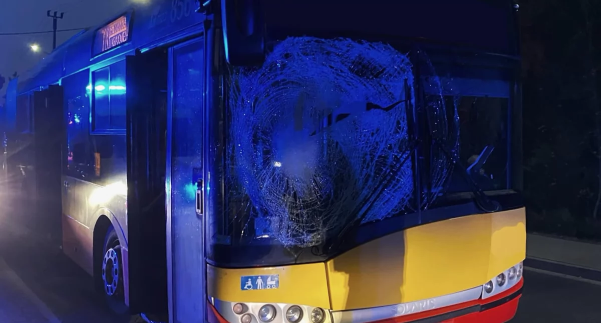 Wiązowna: Zderzenie autobusu z dzikim zwierzęciem. Jedna osoba poszkodowana