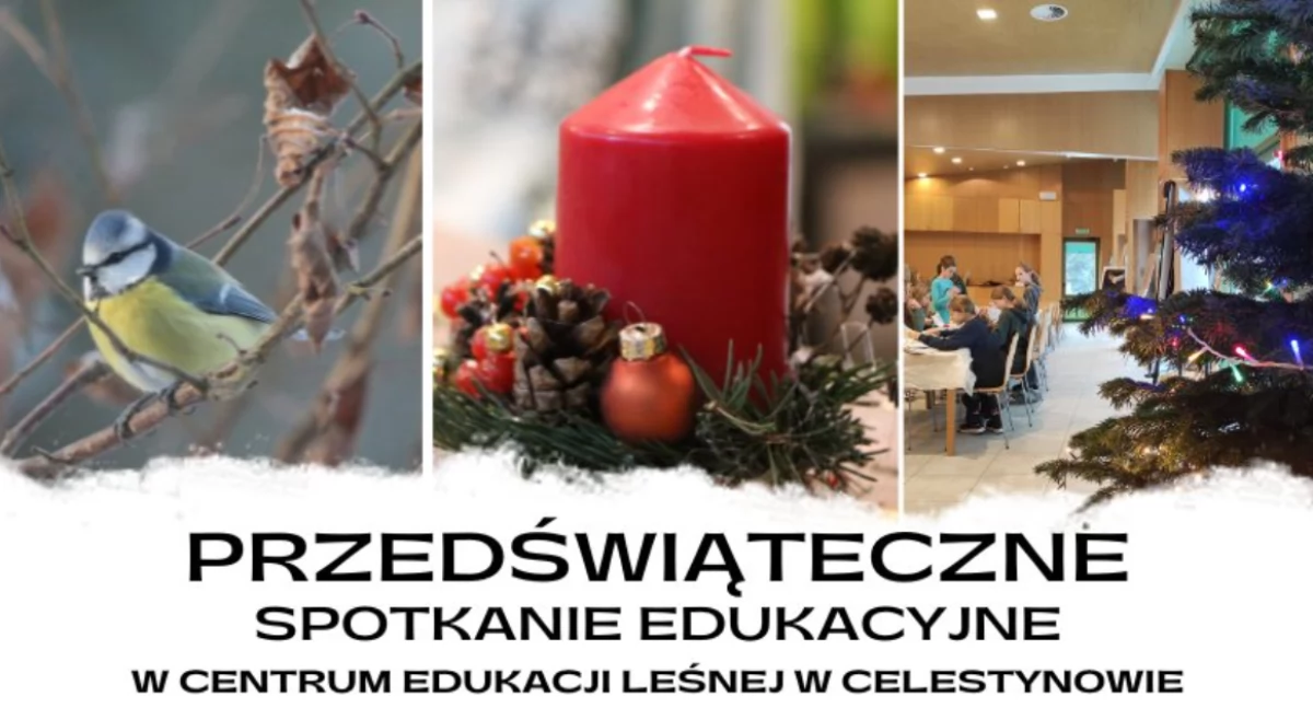 Przedświąteczne spotkanie edukacyjne w Celestynowie