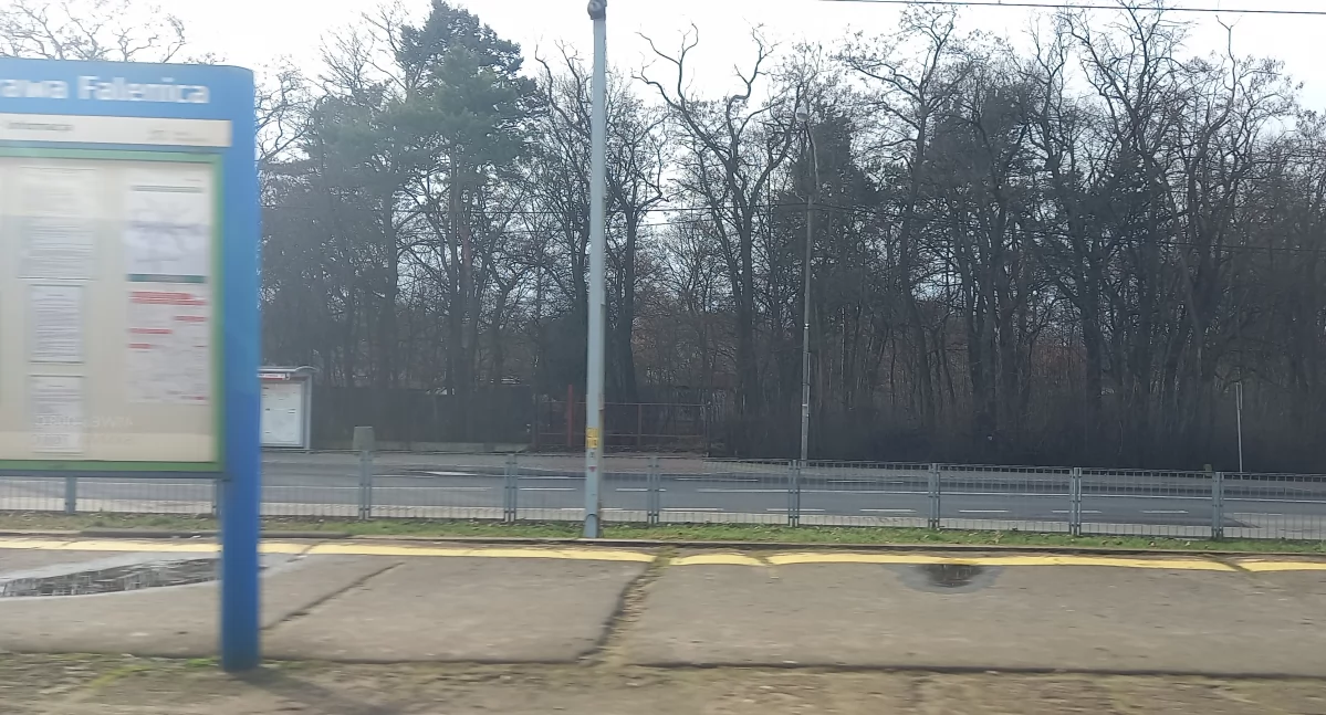 Wypadek z udziałem człowieka w pobliżu stacji Warszawa Falenica