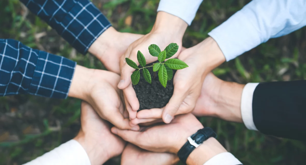 Nowy Rok w harmonii z naturą – ekologiczne postanowienia na 2025