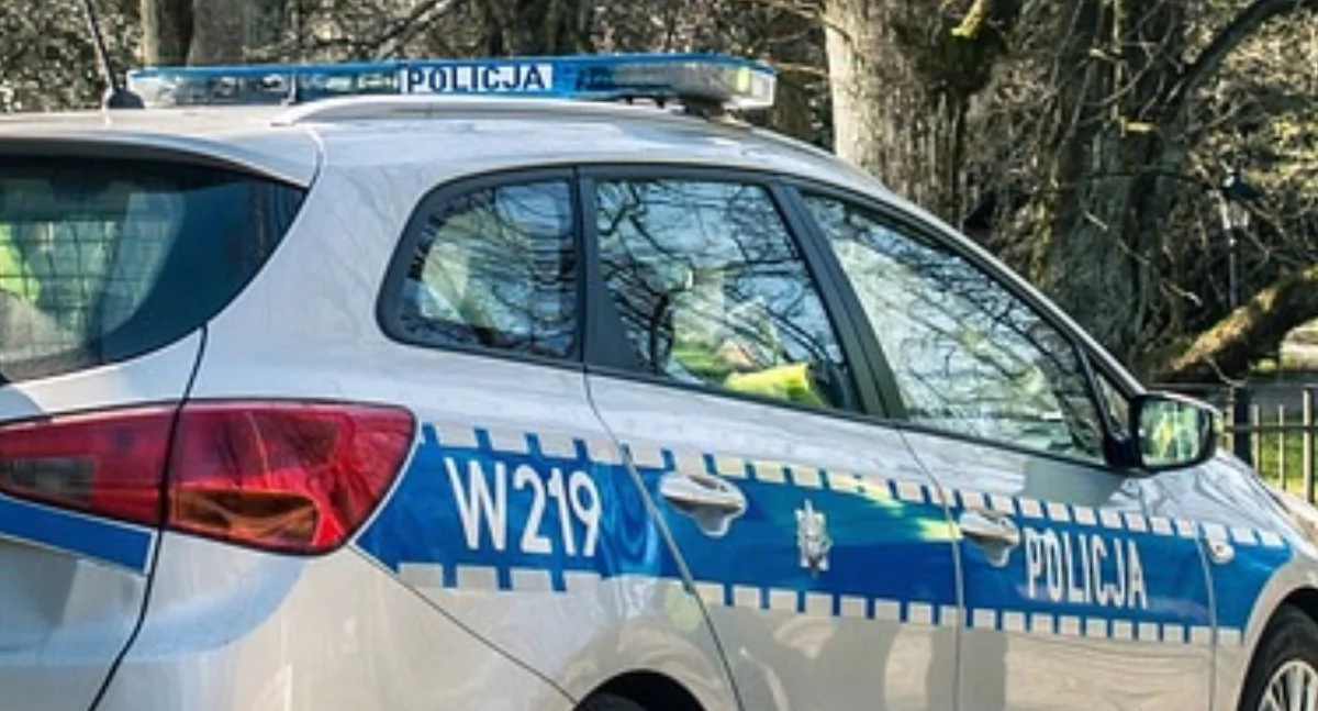 Rudnik. Byk zaatakował mężczyznę. 70-latek nie żyje