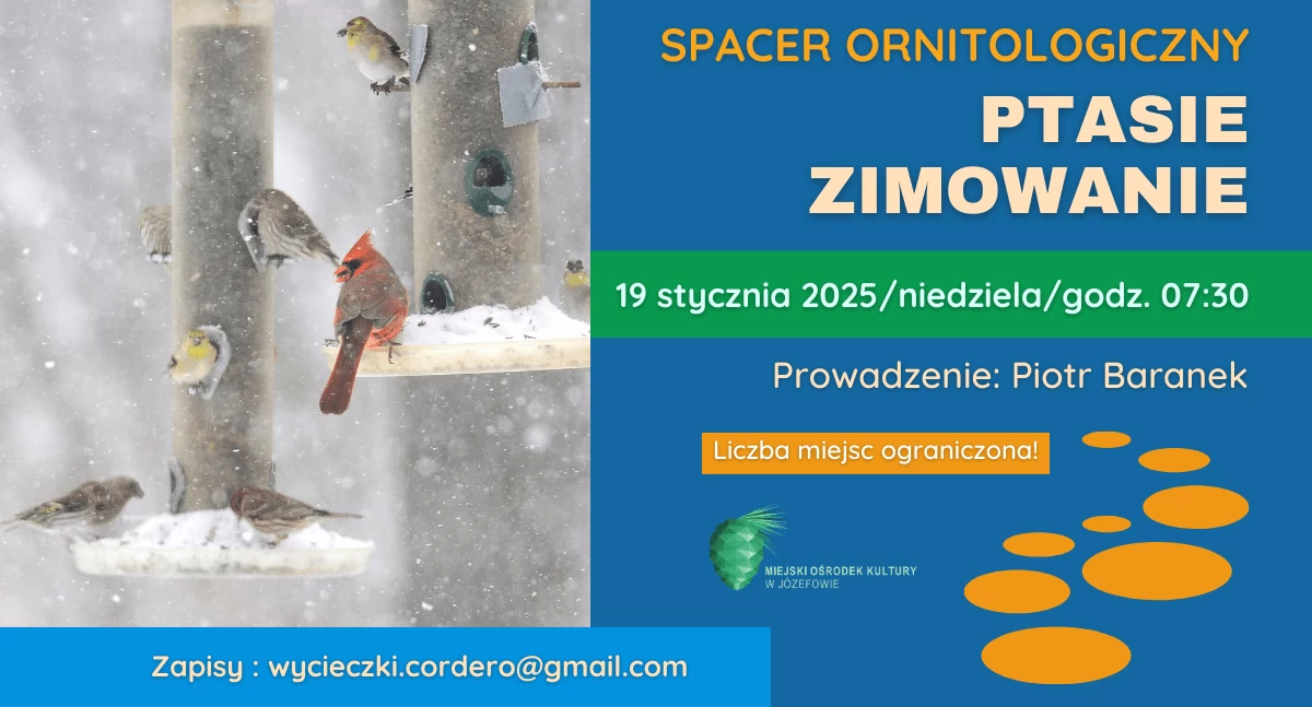 Ptasie zimowanie - spacer ornitologiczny