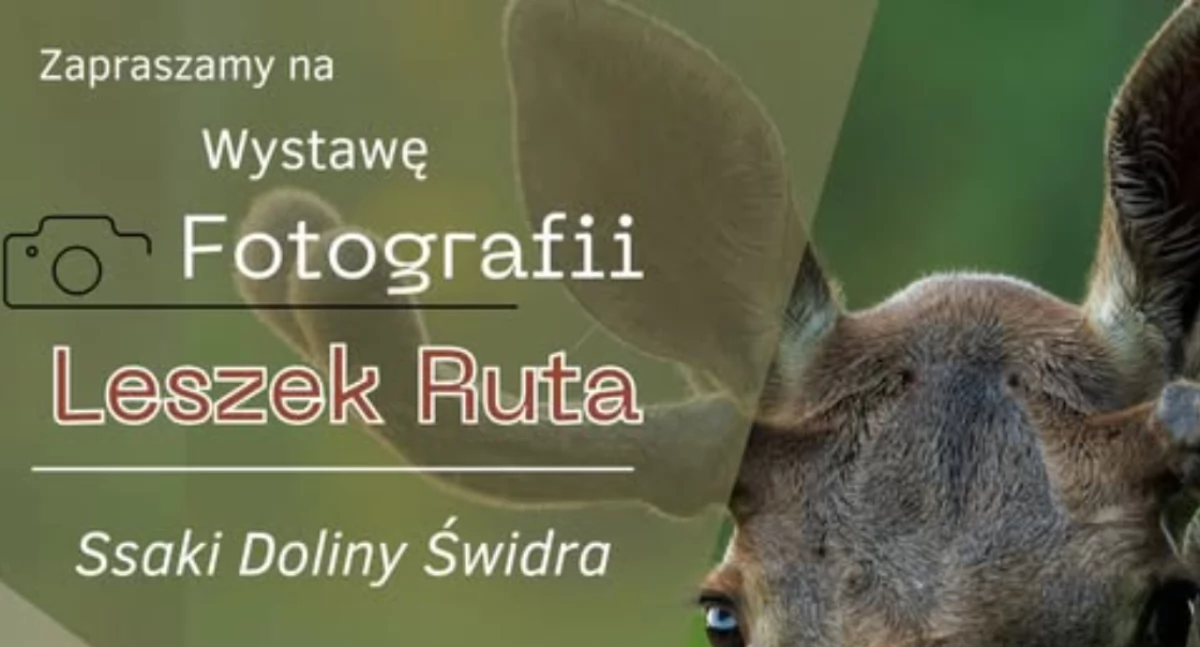 Ssaki Doliny Świdra - wystawa i spotkanie z autorem zdjęć