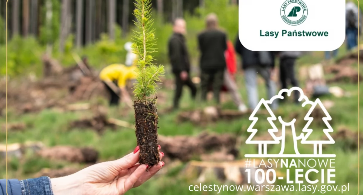 Wspólne sadzenie lasu - akcja Nadleśnictwa Celestynów