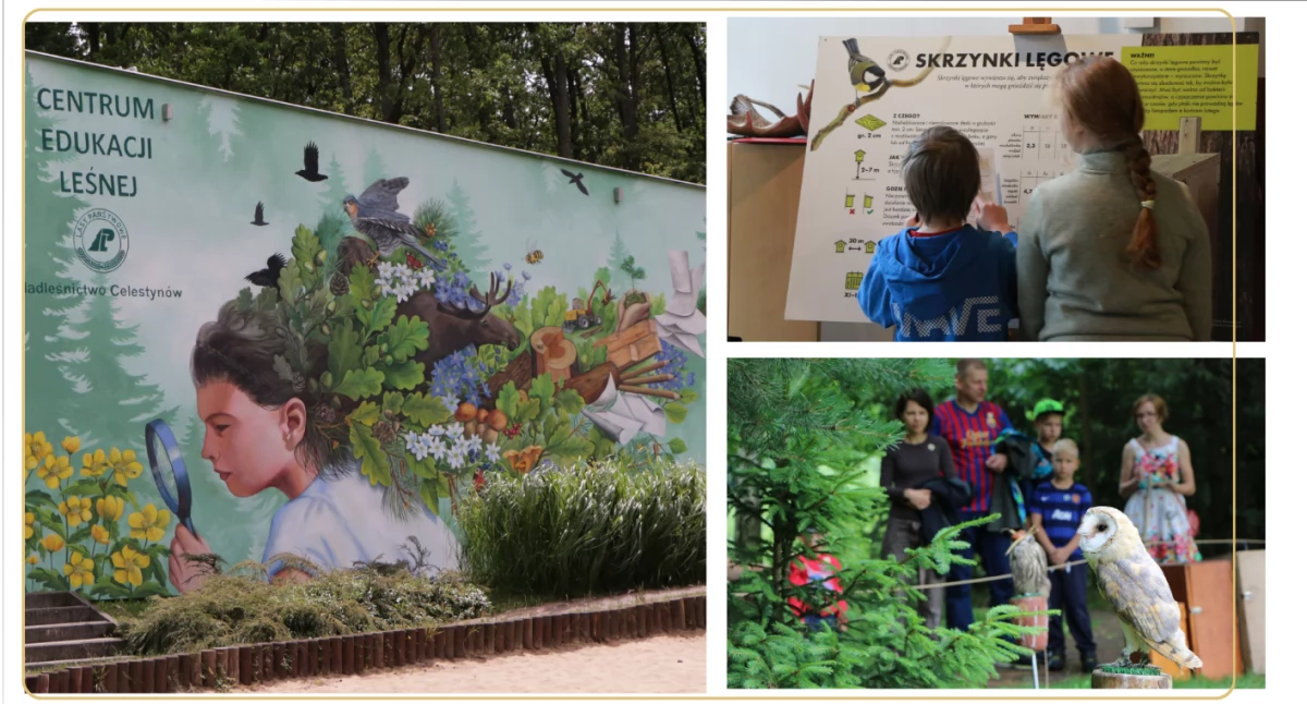 Dzień Otwarty w Centrum Edukacji Leśnej w Celestynowie