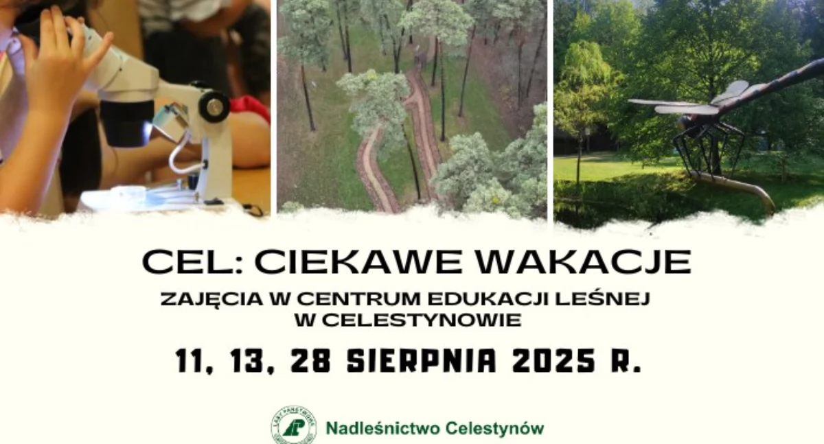 Odkryj leśne tajemnice – wakacyjne warsztaty w CEL-u!