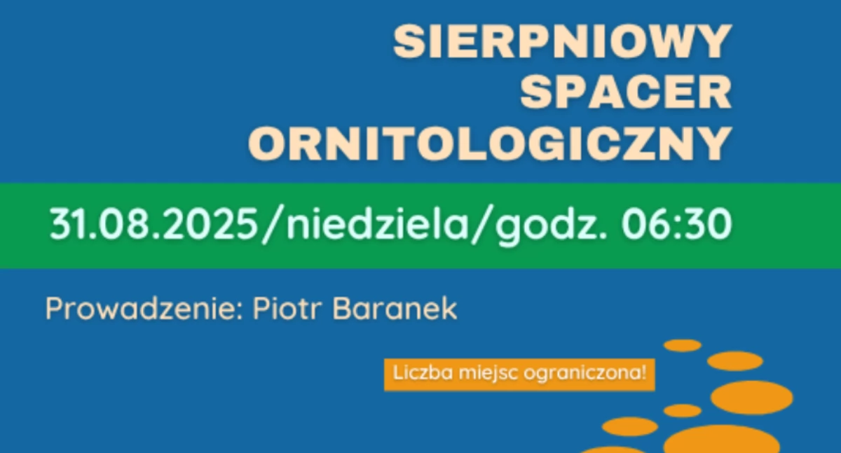 Sierpniowy spacer ornitologiczny z MOK Józefów – poznaj tajemnice świata ptaków!
