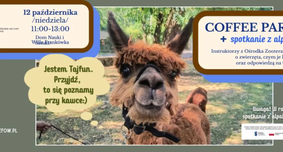 Coffee Party i spotkanie z alpakami – wyjątkowa niedziela w Willi Frankówka