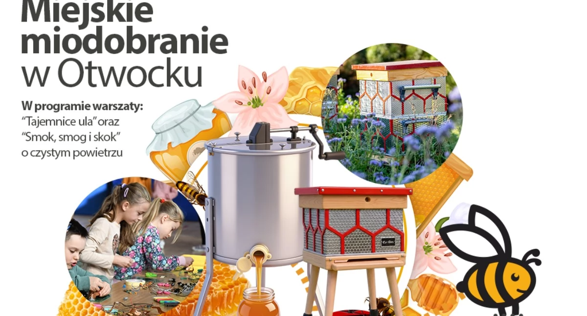 Miejskie miodobranie na pasiece z recyklingu