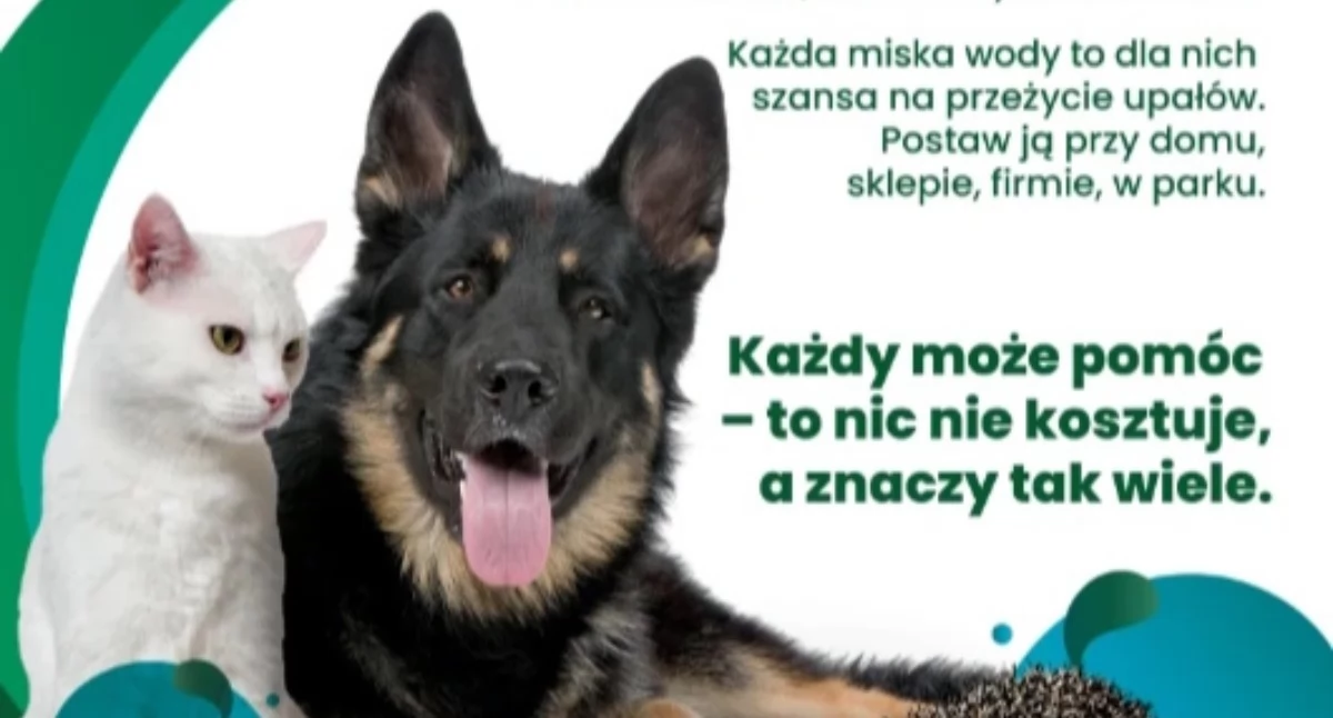 Zwierzętom też chce się pić - wystaw miskę!