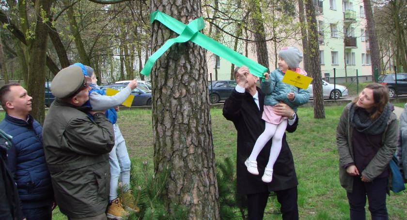 Święto Sosny w Otwocku