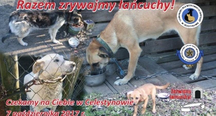 Happening przed celestynowskim schroniskiem