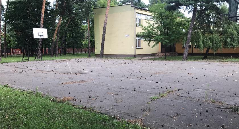 Zwycięskie projekty w Budżecie Obywatelskim Otwocka 2018