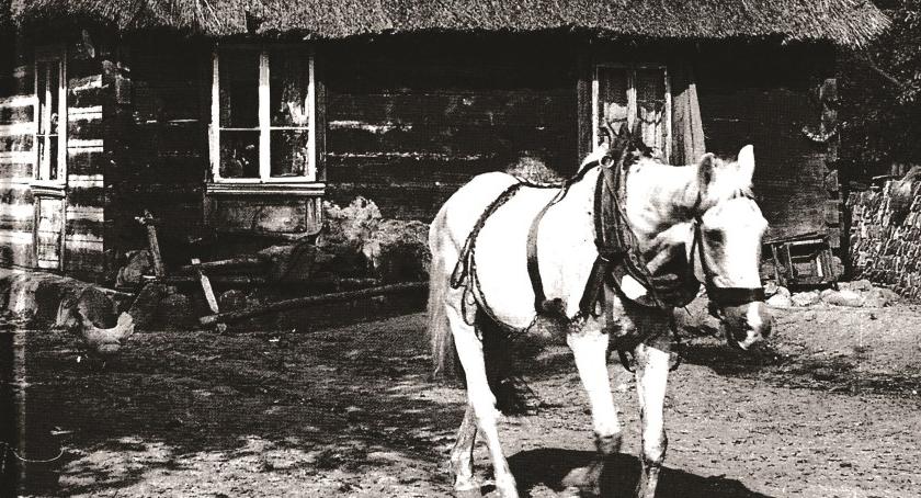 Album zdjęć Kołbielszczyzny