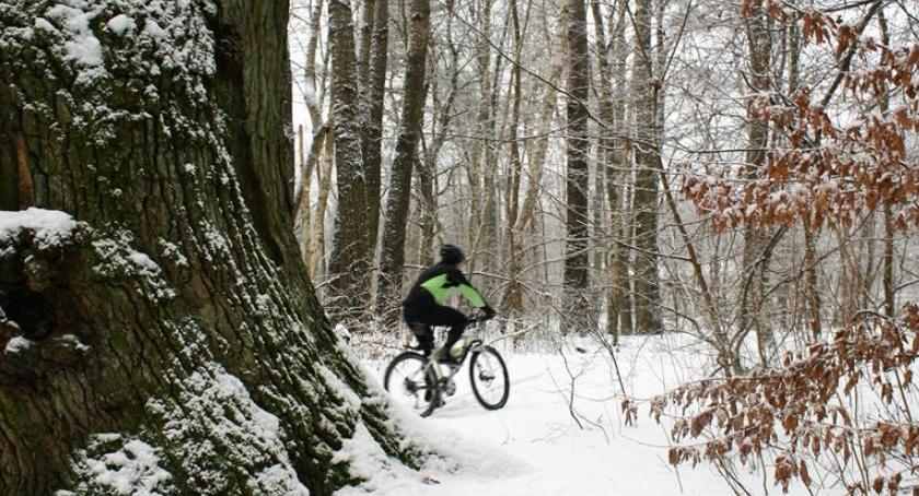 Zimowe uroki nad Mienią