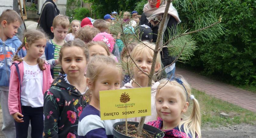 Dzień Sosny z udziałem przedszkolaków z Leśnych Skrzatów
