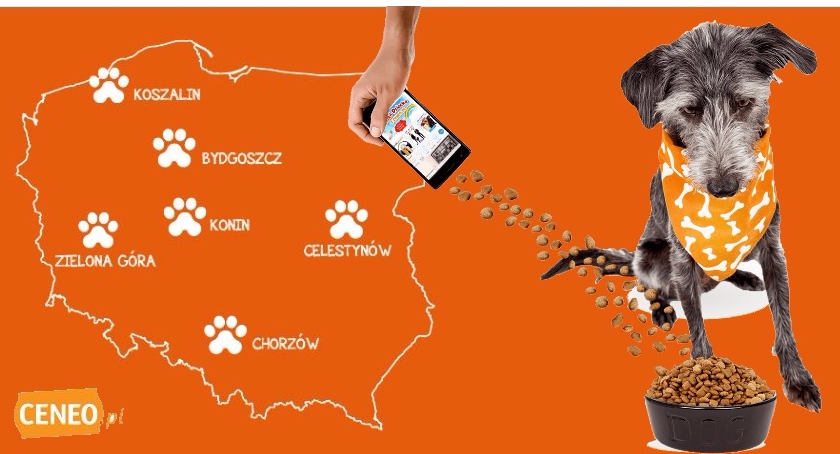 Kliknij w apkę - nakarmisz zwierzaka w Celestynowie!