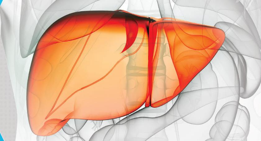 Bezpłatne badania na wirusa HCV w Otwocku