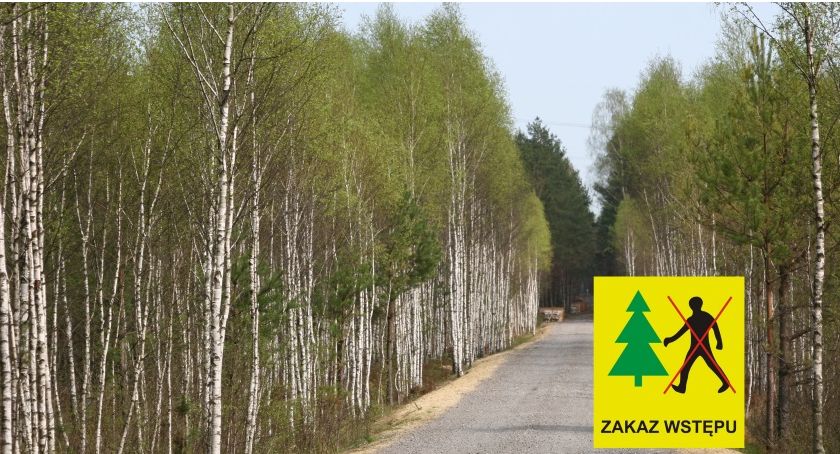 Opryski lasów Nadleśnictwa Celestynów - będą zakazy wstępu