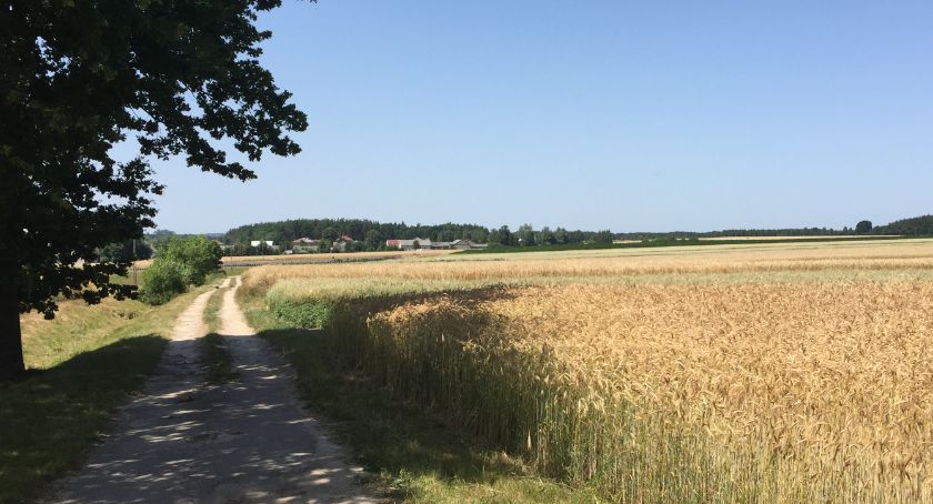 Susza rolnicza we wszystkich uprawach