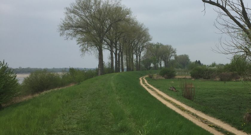 Przebudowa wałów w Gusinie