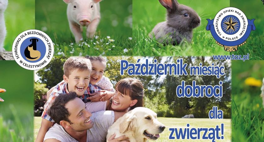 Celestyniaki zapraszają do odwiedzin