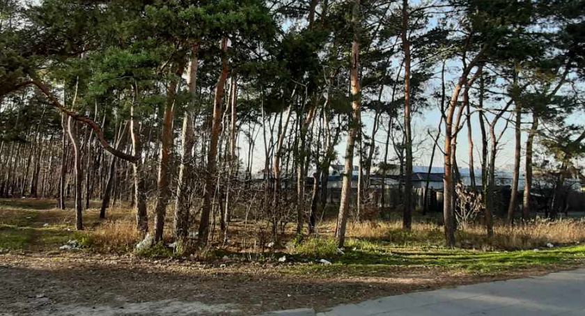 Kupią działkę, aby ją posprzątać