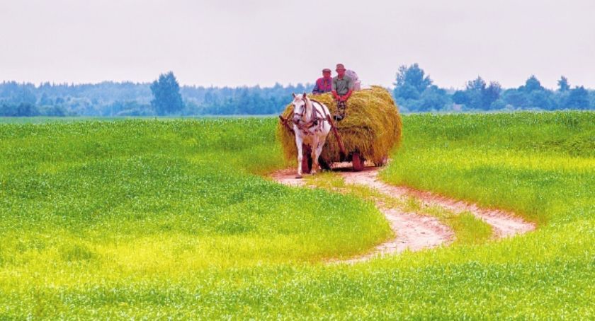 Jutro sianokosy, czyli historie z życia mieszkańców celestynowskich wsi