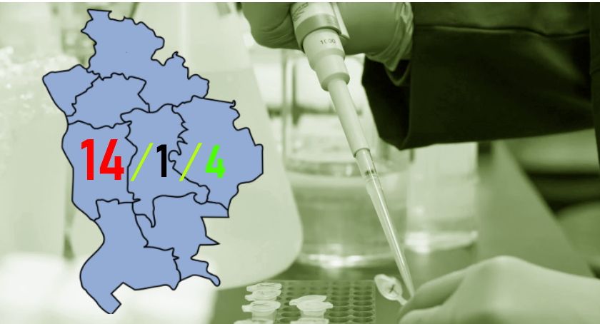 W święta - więcej ozdrowieńców niż chorych