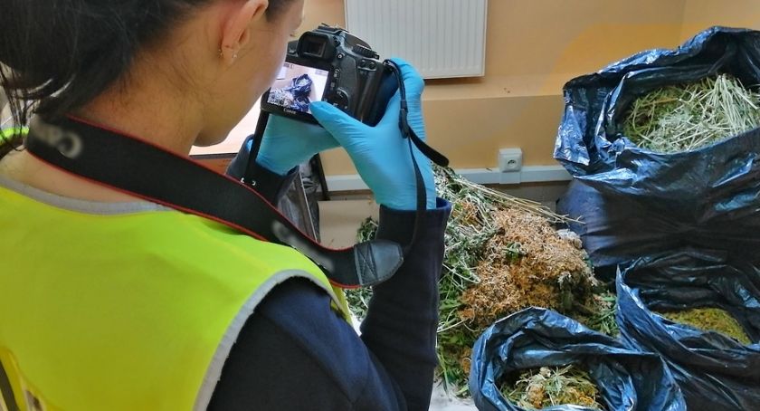 23 kg suszu na nielegalnej plantacji marihuany w powiecie otwockim
