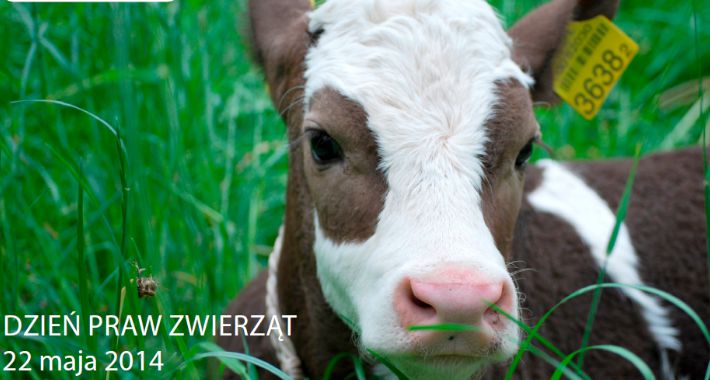 Dzień Praw Zwierząt