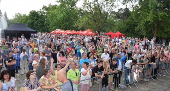 XII Powiatowy Festiwal Kultury