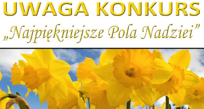 Najpiękniejsze Pola Nadziei