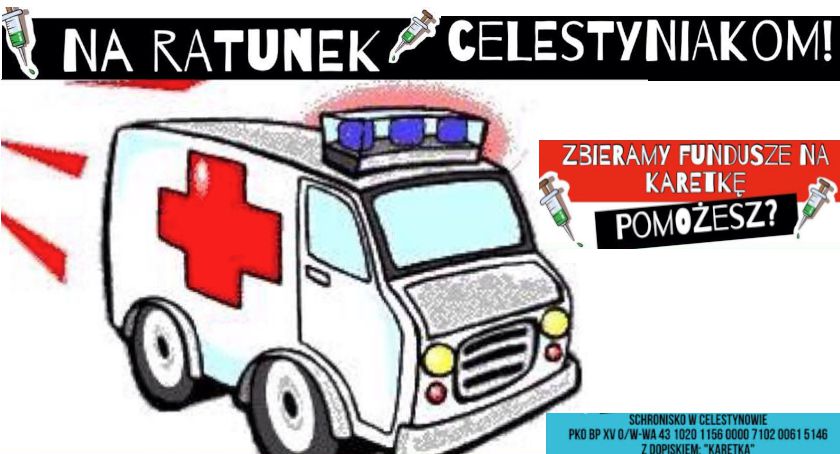 Pomóż ratować celestyniaki!