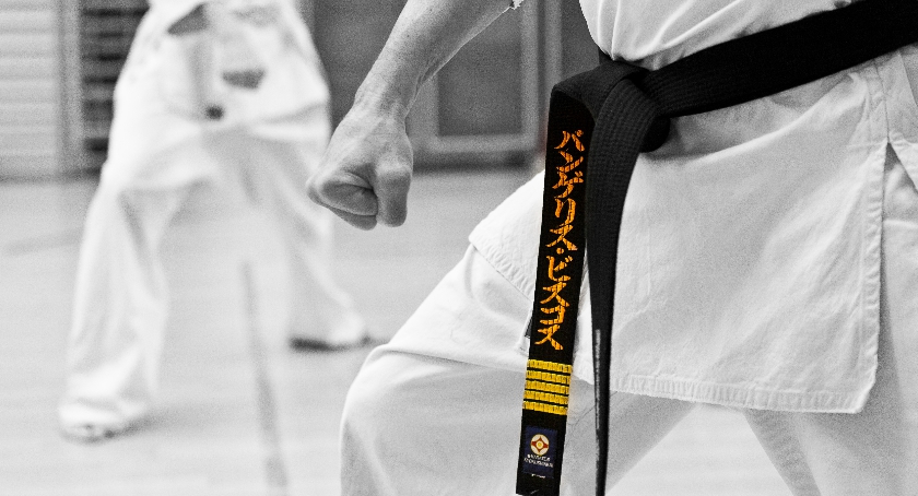 XV MWM Karate Kyokushin
