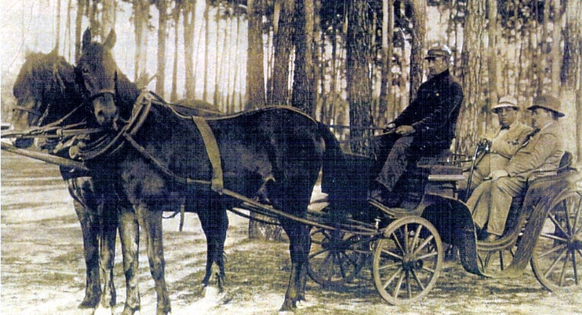 Orkiestra parkowa i miejskie dorożki