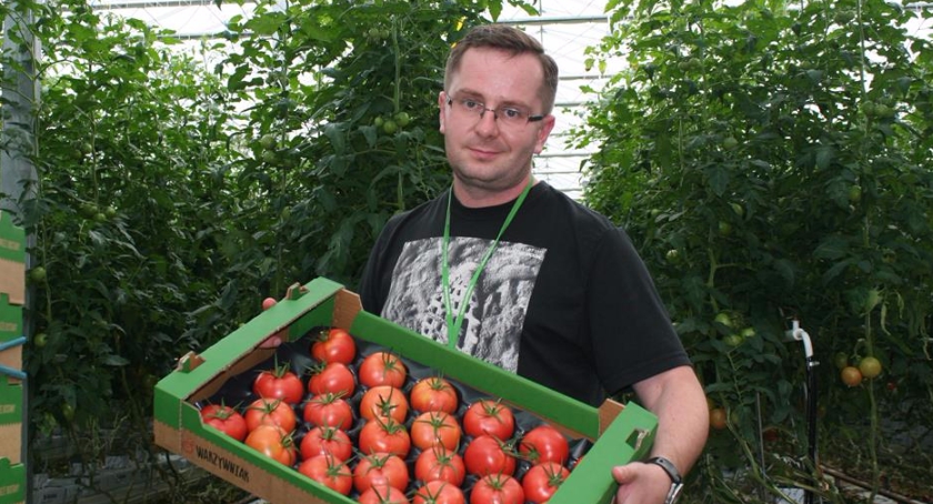 Jak VegaPol stał się liderem produkcji pomidora