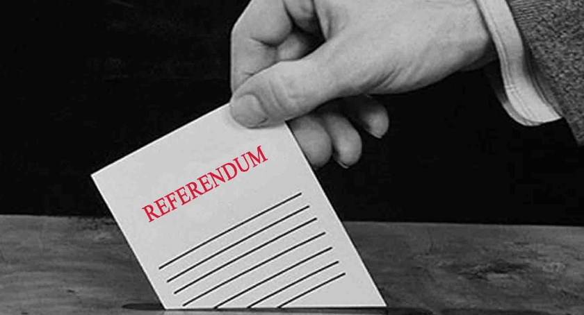 Referendum - koalicyjny skok na władzę