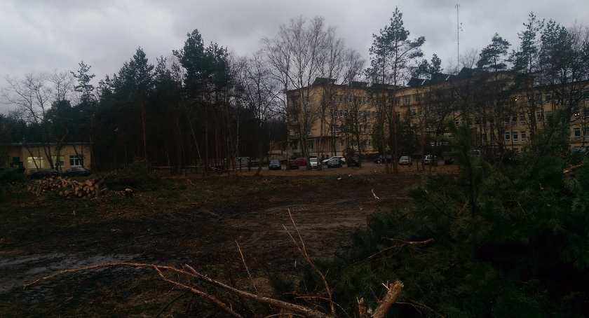 Łyso na Batorego