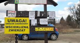 Powiat otwocki - zagrożenie wścieklizną. Nie puszczaj psa wolno!