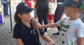 6. Piknik Naukowy PMDK, czyli jak atrakcyjna może być nauka
