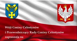 11 listopada 2021 w Celestynowie