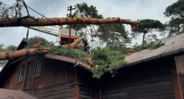 W czwartek prawie 240 interwencji, aż 190 w Józefowie. Wichury w powiecie otwockim
