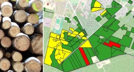 Gdzie w powiecie otwockim leśnicy w 2024 r. wytną las