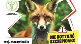 Akcja zrzutu szczepionki dla lisów przeciwko wściekliźnie