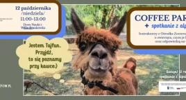 Coffee Party i spotkanie z alpakami – wyjątkowa nied…