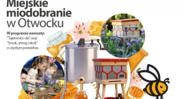 Miejskie miodobranie na pasiece z recyklingu